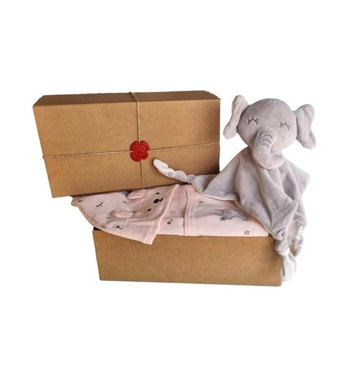 10 Piece Newborn Baby Clothing and Comforter Blankie Baby Shower SET PINK